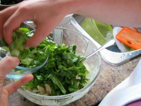 Adding Fresh Chopped Lettuce