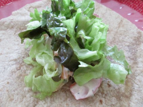 Lettuce and Mayo Mix on Tortillas