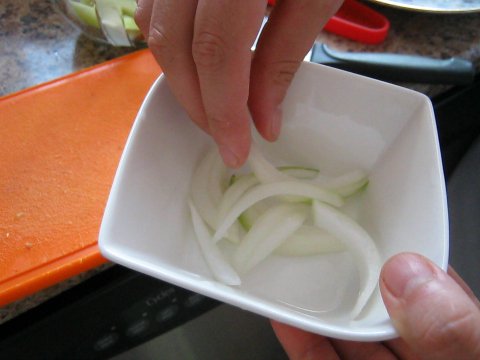 Sliced Onion Substitution