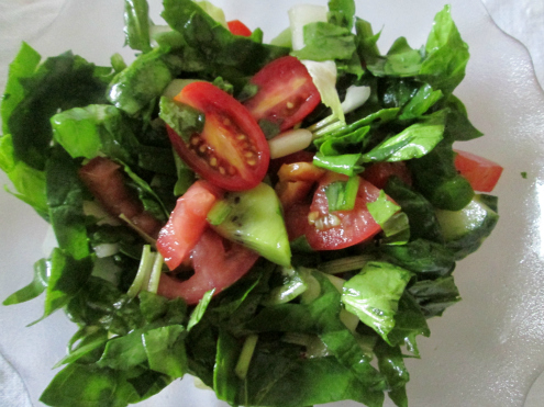 Spinach and Tomato Salad